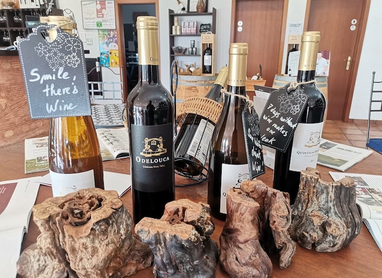 Picture 3 for Activity From Lagos: Small-Group 4-Hour Wine Tasting Tour