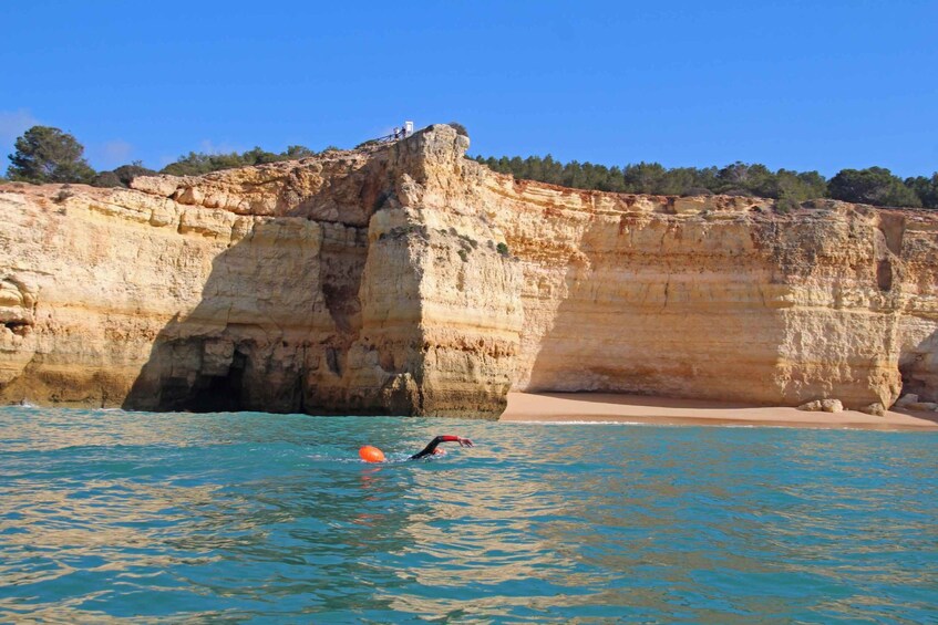 Picture 9 for Activity Algarve: Open Water Swimming