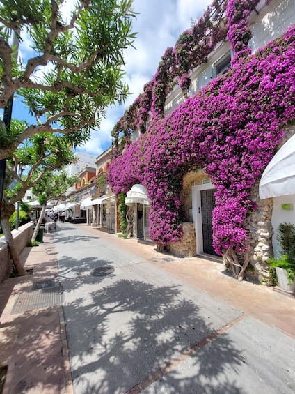 Tour of Capri & Anacapri with Blue Grotto Access and Guide