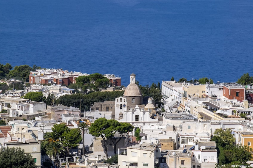 From Sorrento: Capri and Anacapri guided tour