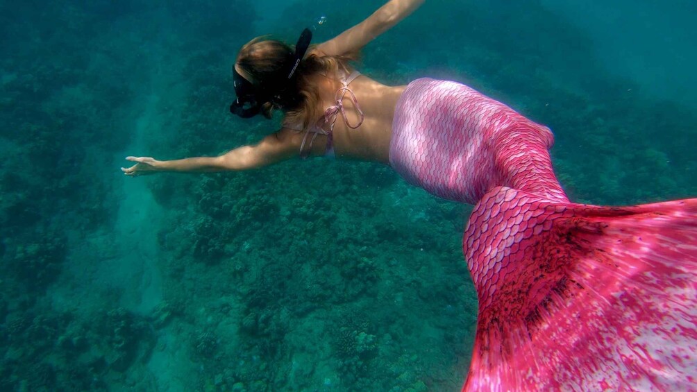 Picture 3 for Activity Puerto Rico: Mermaid Snorkeling Adventure