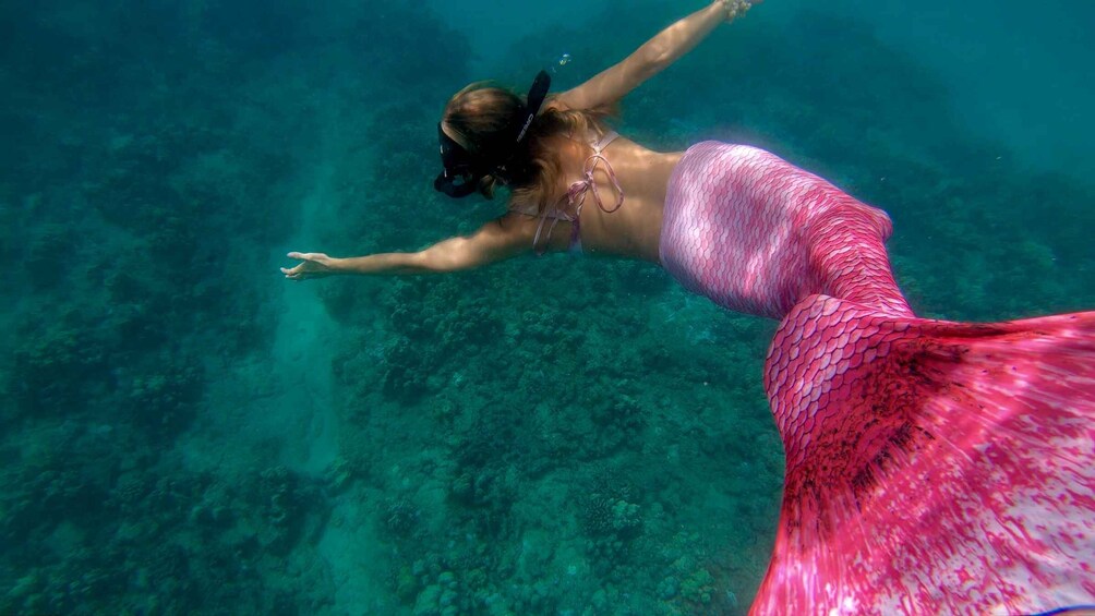 Picture 3 for Activity Puerto Rico: Mermaid Snorkeling Adventure