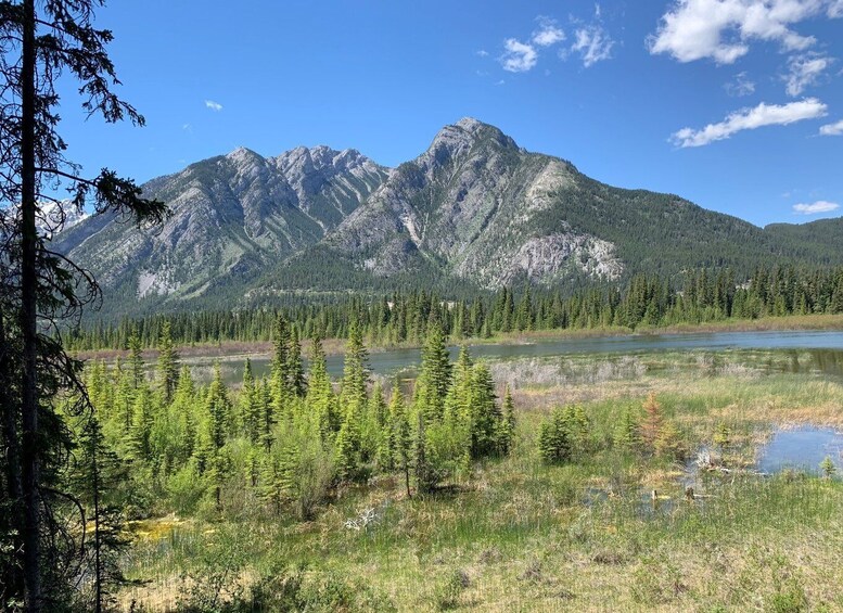 Picture 12 for Activity Banff: Local Legends and Landmarks - History Tour 1.5hrs