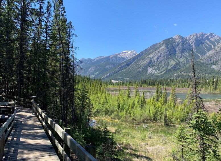 Picture 8 for Activity Banff: Local Legends and Landmarks - History Tour 1.5hrs