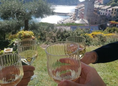 Portovenere : Dégustation de vins et de produits locaux dans une villa
