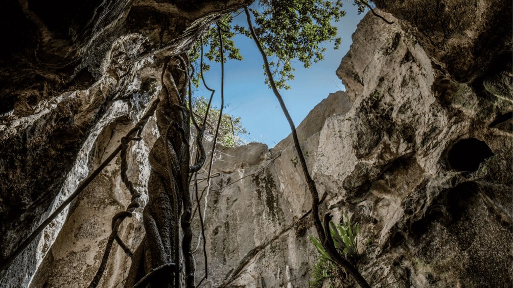 Picture 3 for Activity Queensland: 90 Minute Capricorn Caves Explorer Tour