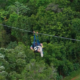 Puerto Rico : Parc d'aventure Toro Verde - La tyrolienne du monstre