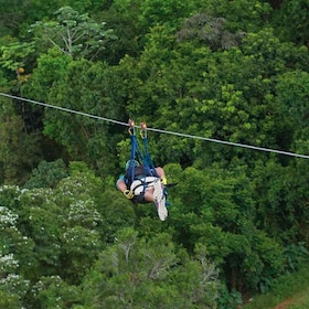 Puerto Rico : La tyrolienne monstre du parc d'aventure Toro Verde