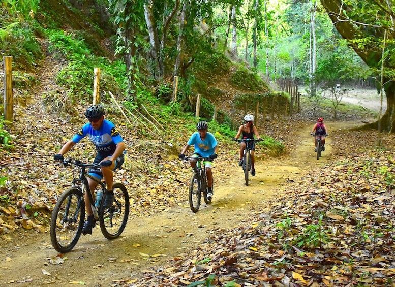Picture 4 for Activity Jaco Beach: Jungle and Waterfalls Mountain Bike Tour