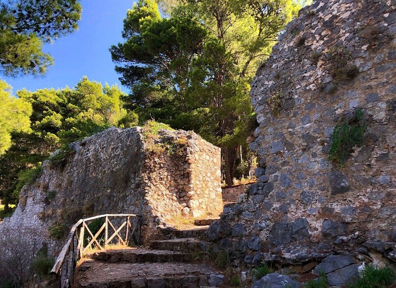 Picture 3 for Activity Cefalú: La Rocca Archaeological Park Guided Hiking Tour