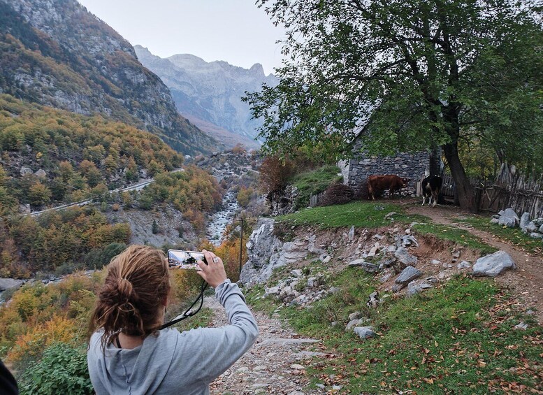 Picture 7 for Activity From Tirana: 3-Day Koman Lake, Valbona and Theth Hiking Tour
