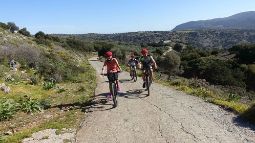 Small Villages and Cretan Nature. E-Bike tour