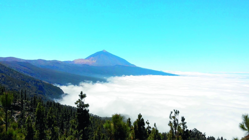 Teide National Park Tour