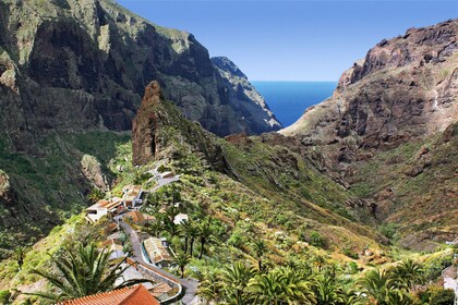 VIP Masca & Teide-tur från södra Teneriffa