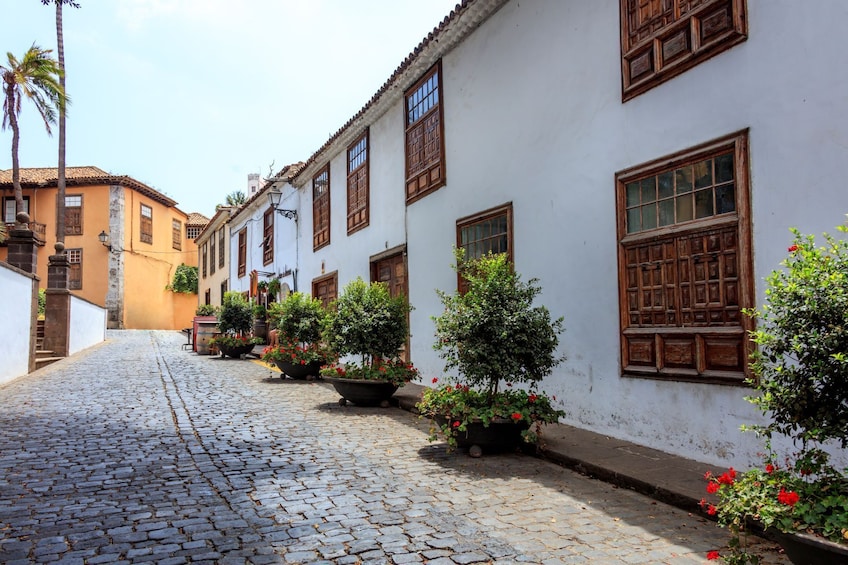 North West Tenerife Secrets