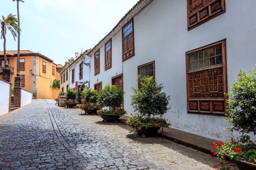 North West Tenerife Secrets
