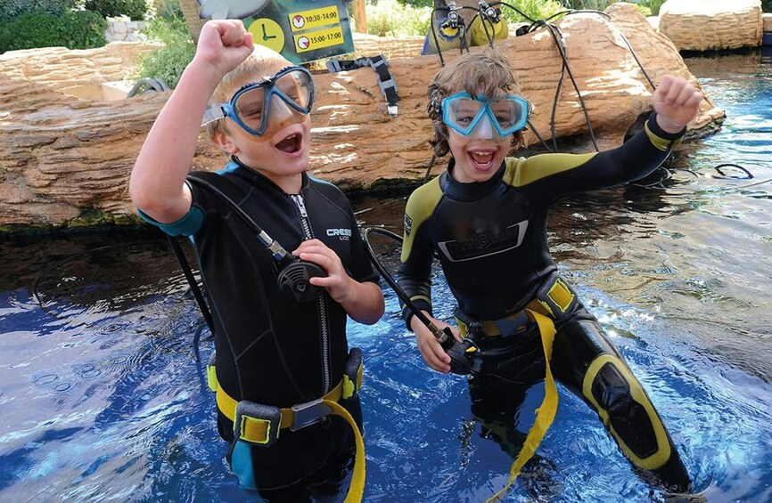 Palma Acquarium with Transfer