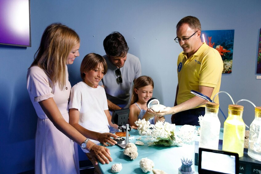 Palma Acquarium with Transfer