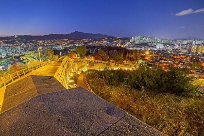 5-Hours Tour Following the enchanting lights of Seoul Night View