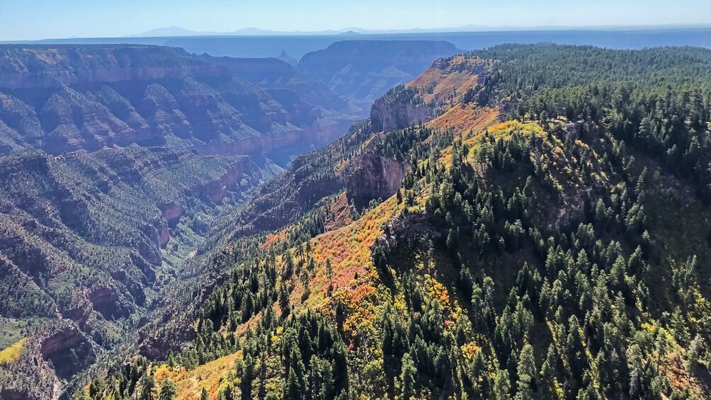 45-min Grand Canyon South Rim EcoStar Helicopter Tour with Optional Hummer