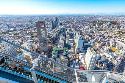 One Day Highlights Tour of Tokyo including Shibuya Sky Tickets
