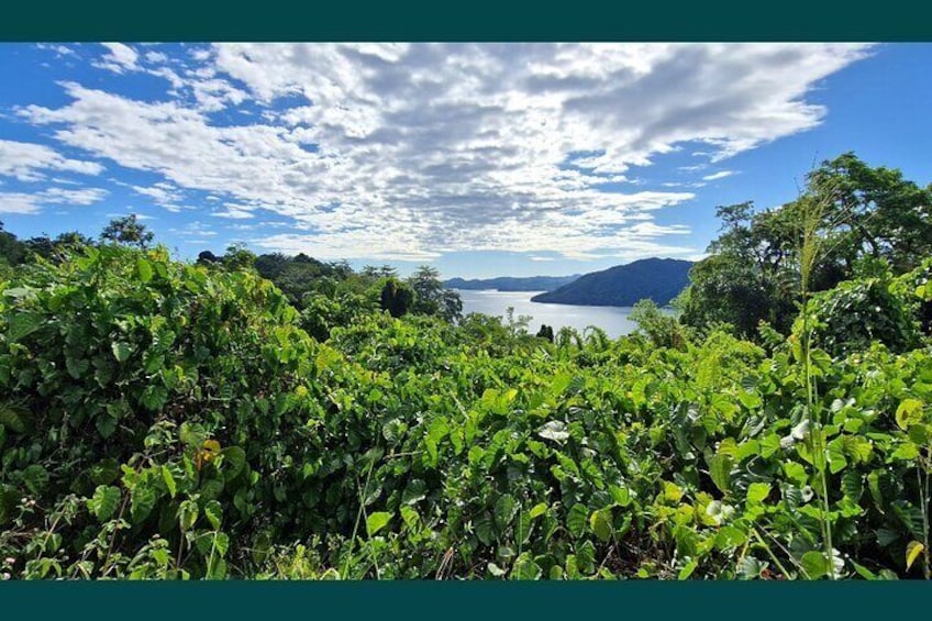 Full-day jungle trek on Nosy Komba (Lemur island) with the Black Lemur Sanctuary