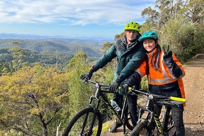 Easy Mountain Bike Tour on Mt. Wellington: Summit & Rainforest Adventure Ri...