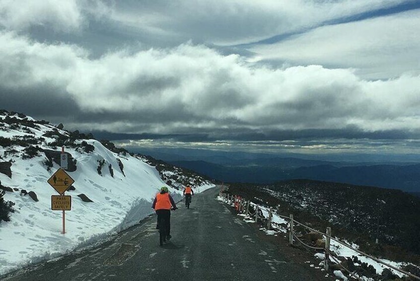 Easy Mountain Bike Tour on Mt. Wellington: Summit & Rainforest Adventure Ride