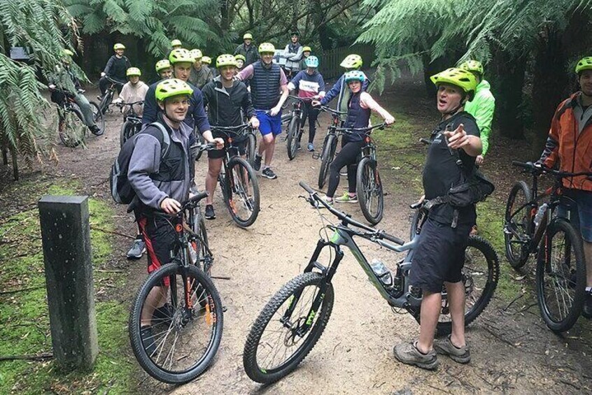 Easy Mountain Bike Tour on Mt. Wellington: Summit & Rainforest Adventure Ride