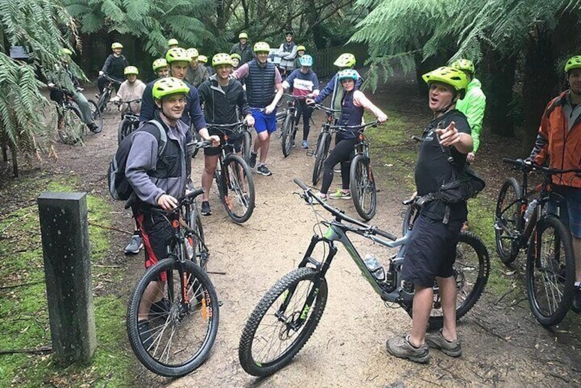 Easy Mountain Bike Tour on Mt. Wellington: Summit & Rainforest Adventure Ride