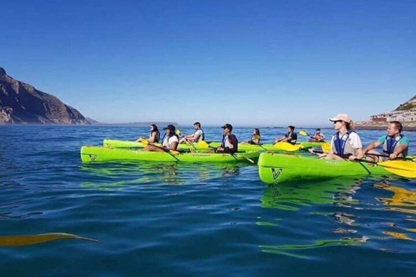 Guided Kayaking in Hout Bay