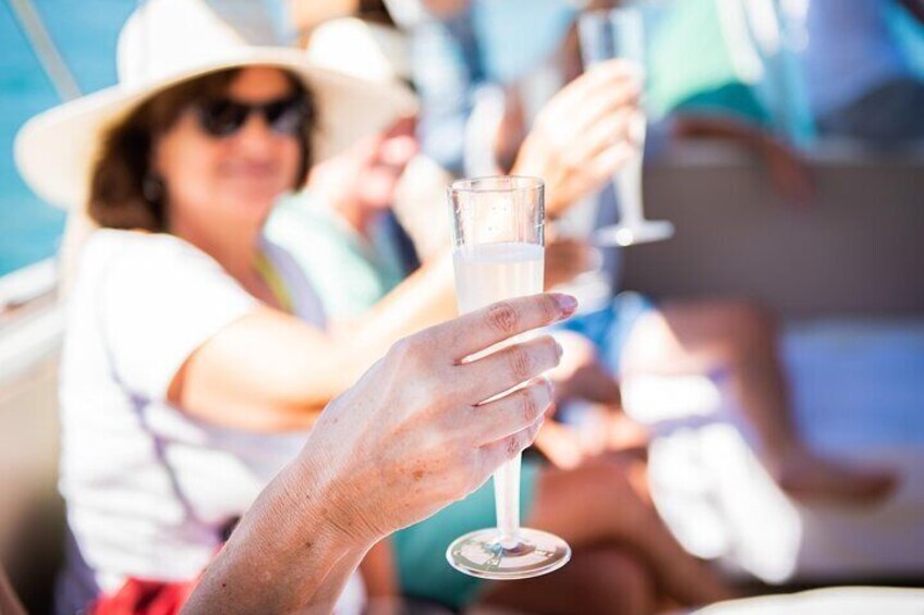 Motorboat Afternoon Guided Tour on Lake Garda with Wine and Snacks