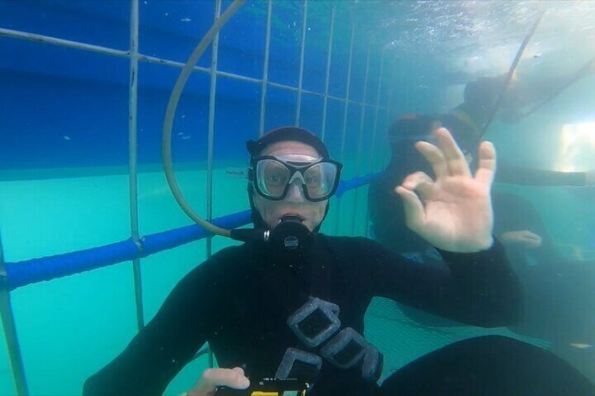 4-Hour Guided Shark Cage Diving with Hookah Air Supply in Gansbaai