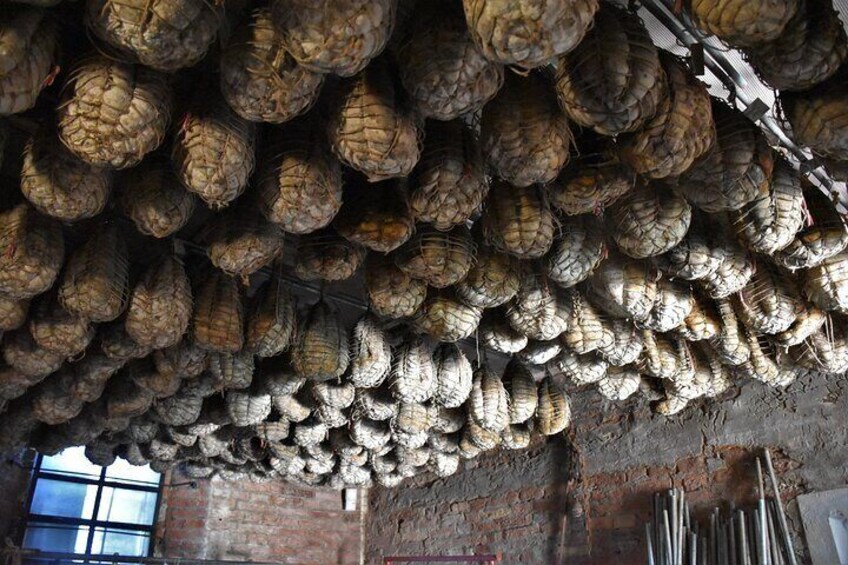 Culatello ageing room