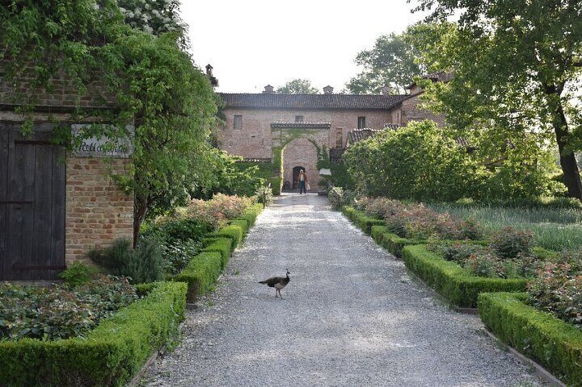 Culatello mansion
