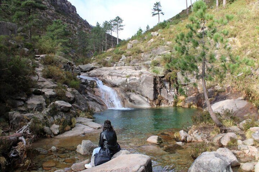 Hidden Gems of Gerês National Park on a Full-Day Tour