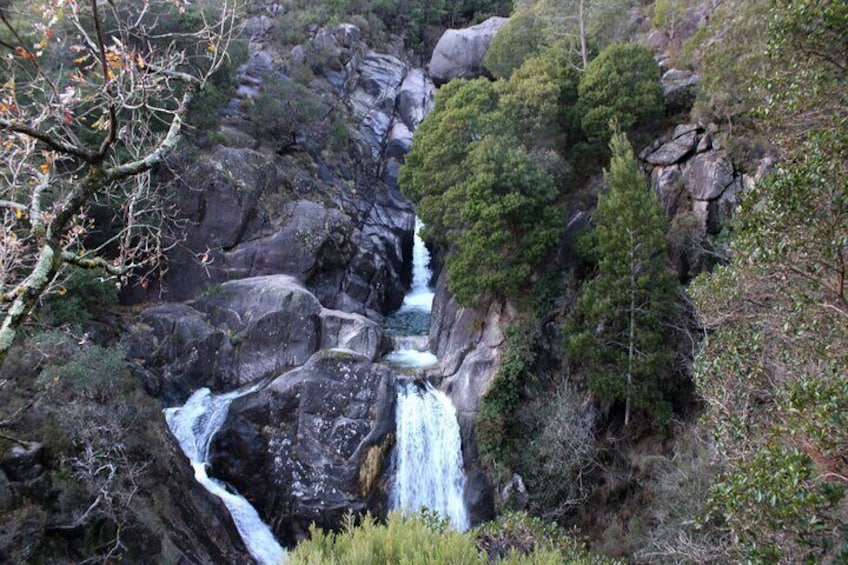 Hidden Gems of Gerês National Park on a Full-Day Tour