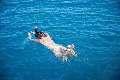 A Day at Sea on a Catamaran from Calpe or Altea with Barbecue