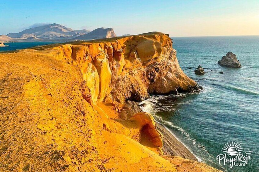 4 Hrs GOLDEN SHADOWS TREK in Paracas National Reserve