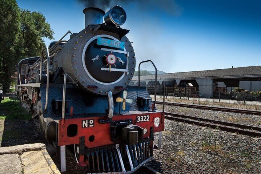 Class 19 D Steam Locomotive "Clare"