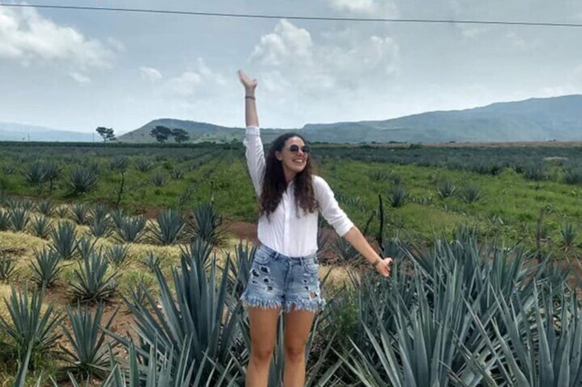 One Day Adventure Private Tour in Tequila Pueblo Mágico