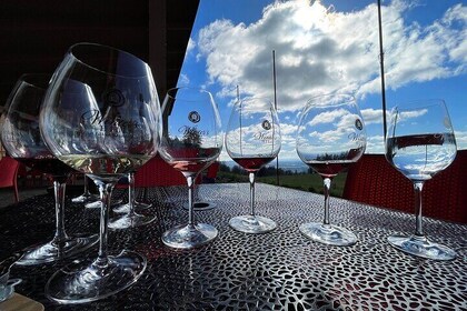 Private Full-Day Wine Excursion in Willamette Valley