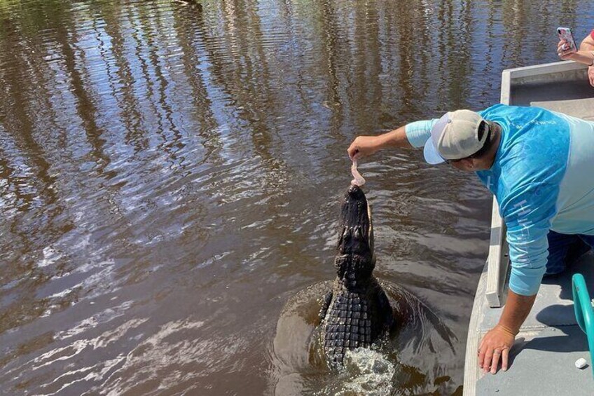 Airboat Swamp Tour in Luling