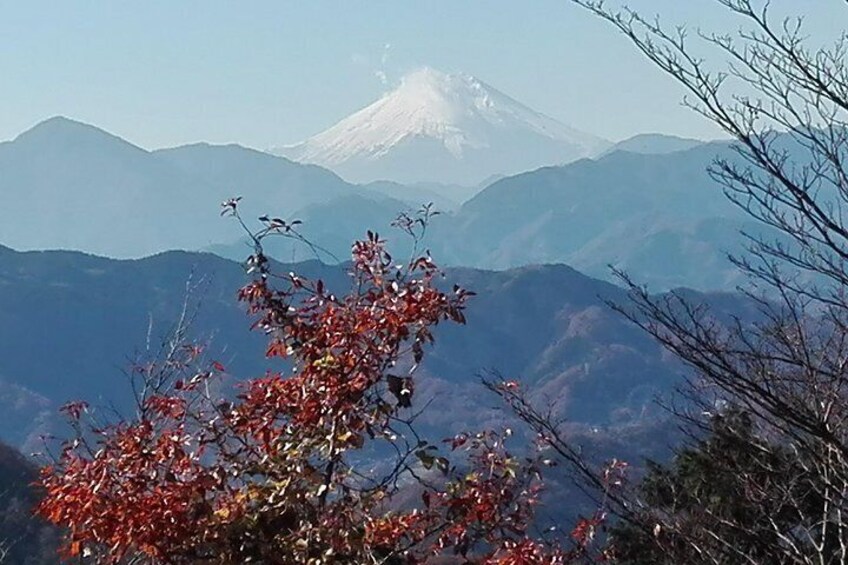 Full Day Hiking Tour at Mt.Takao including Hot Spring