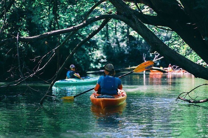 Big Creek Kayak Tour