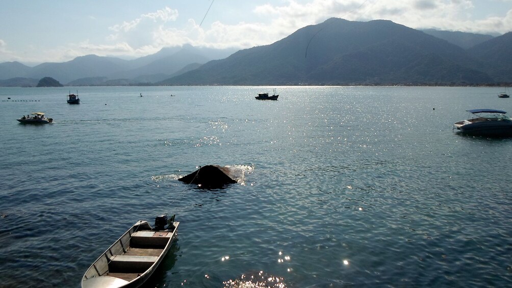 Carregar foto 1 de 5. North Coast Tour - Private Full-Day Beaches Tour