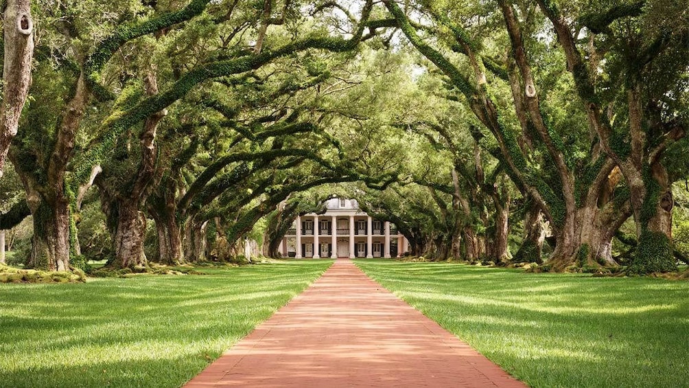 Beautiful Landscape view of Oak Alley Plantation in New Orleans 