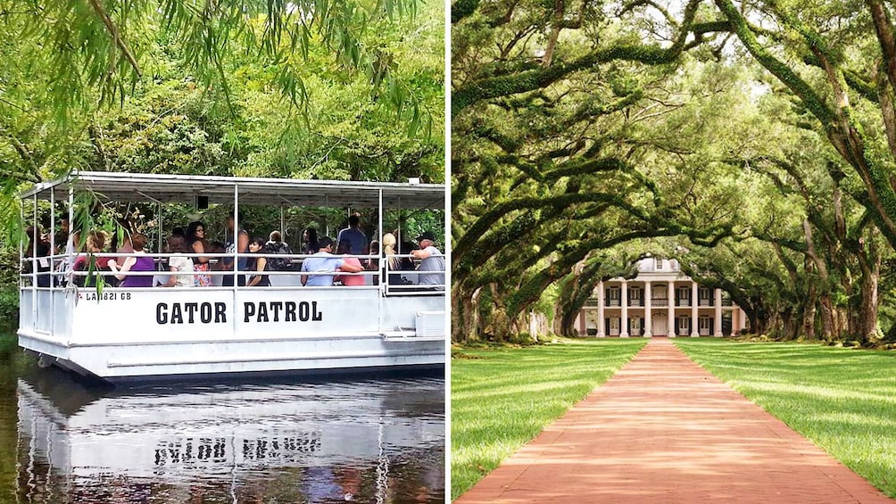 Combo image of swamp and plantation tour in New Orleans