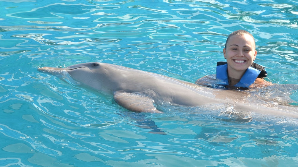 Show item 4 of 10. Isla Mujeres Dolphin Encounter with Lunch