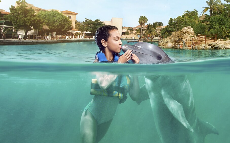 Swimming with Dolphins in Riviera Maya Puerto Aventuras